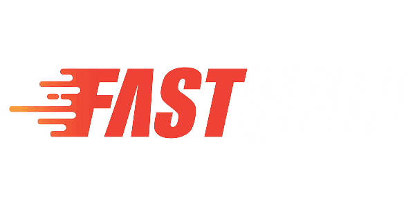 FS গেমিং logo